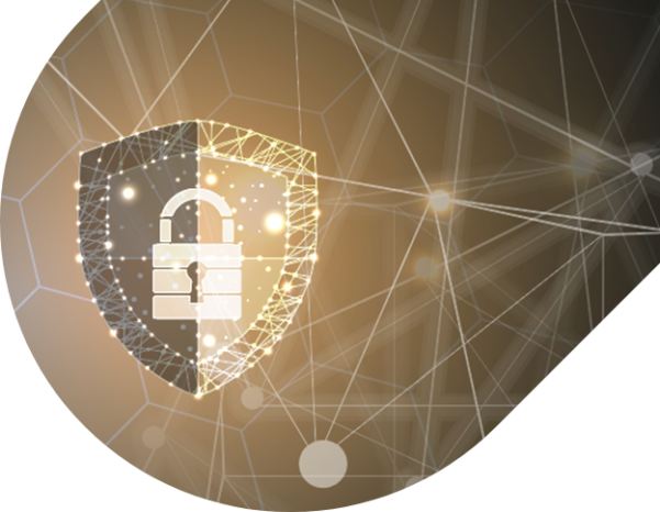 Image Linkt propose une solution anti DDoS